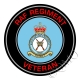 RAF Royal Air Force Regiment Veterans Sticker